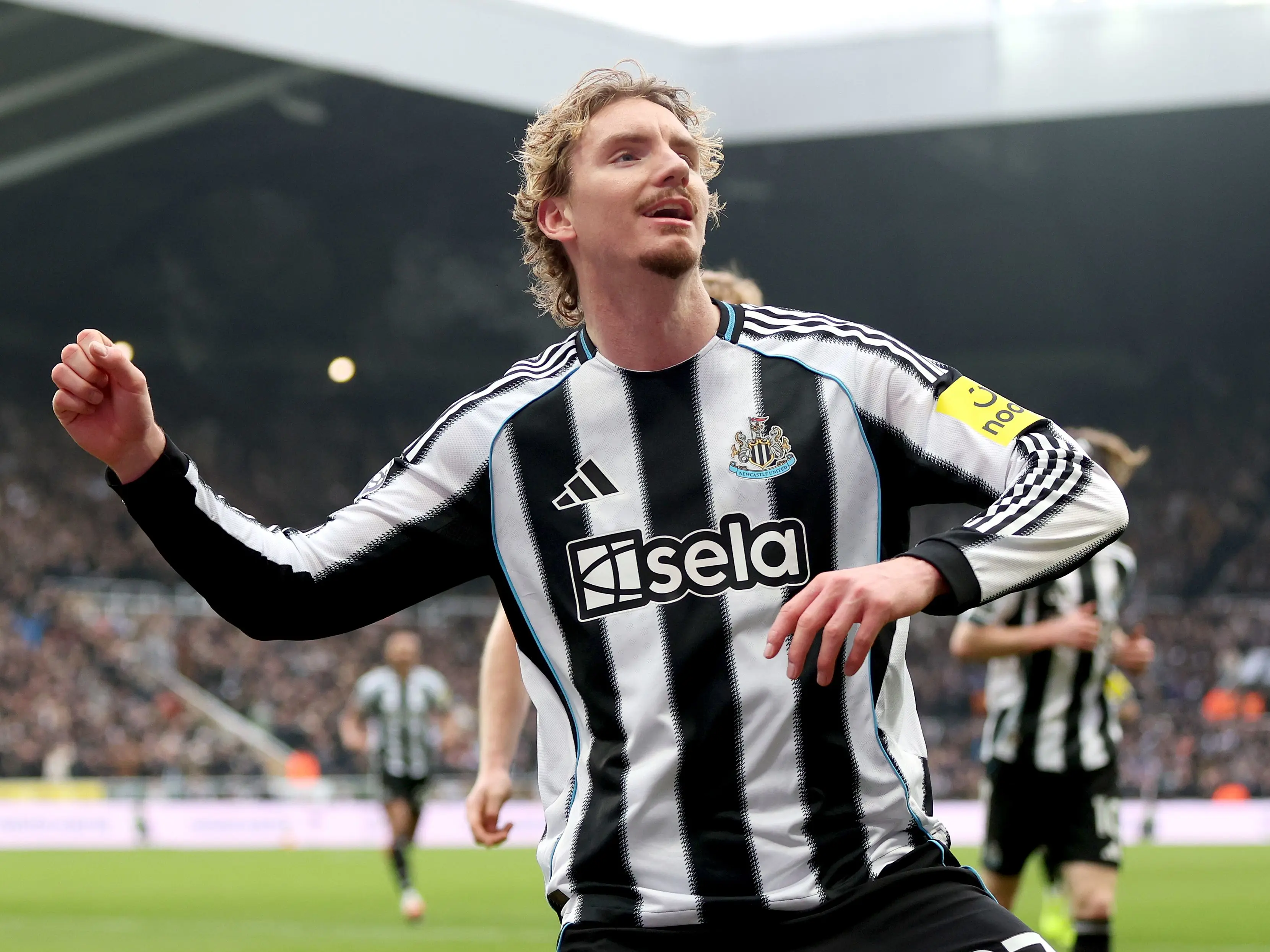 Woltemade Newcastle Everton